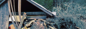 Bulletin: Shell gas cards needed Oso mudslide. March 22, 2014.