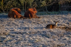 outdoors-web-0107