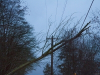 2-lowell-larimer-031014