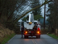 6-lowell-larimer-031014