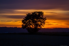 snohomish-060617-web-8