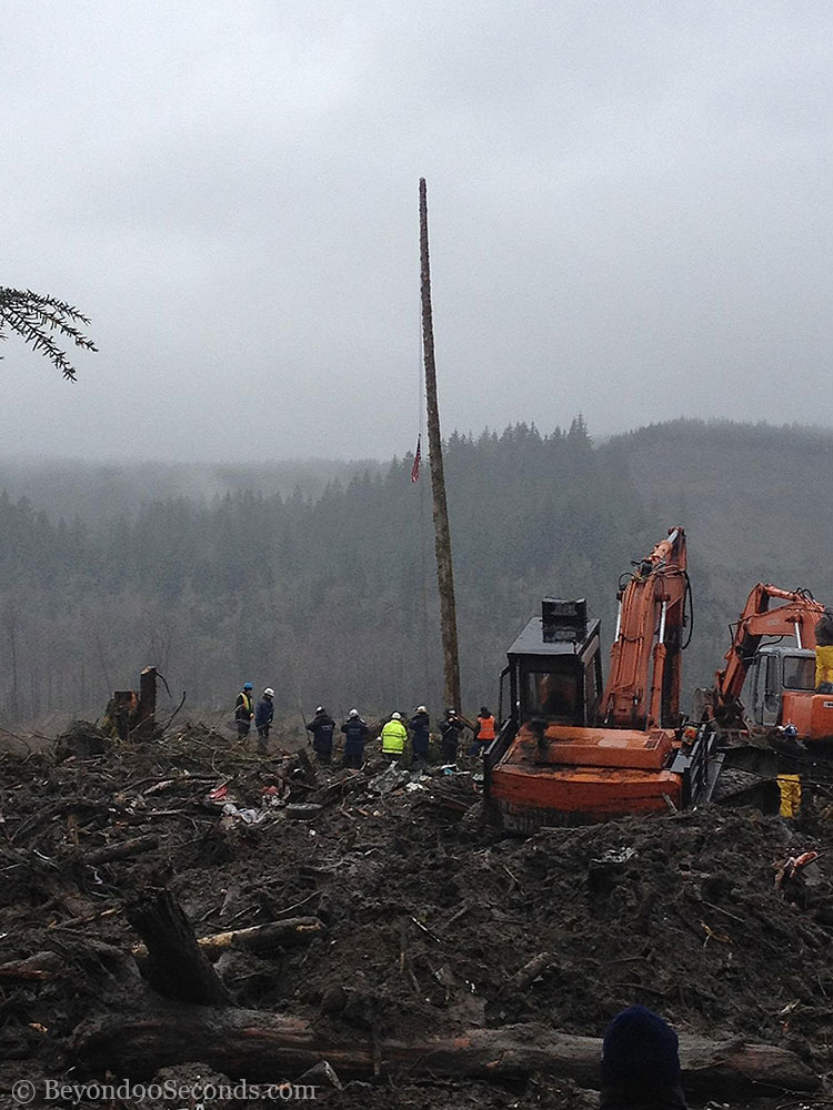 A flag on a lone tree during this moment of silence at the Oso mudslide on Friday afternoon.