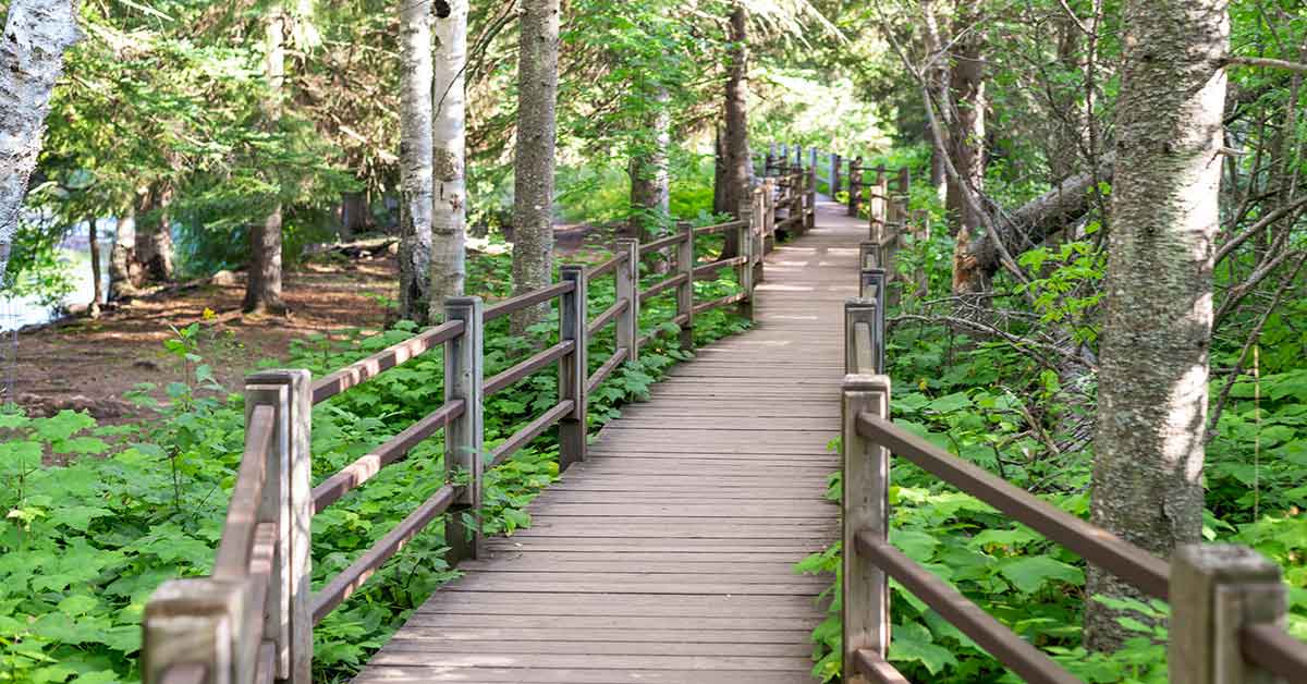 A wooden bridge with railings in a forest setting.