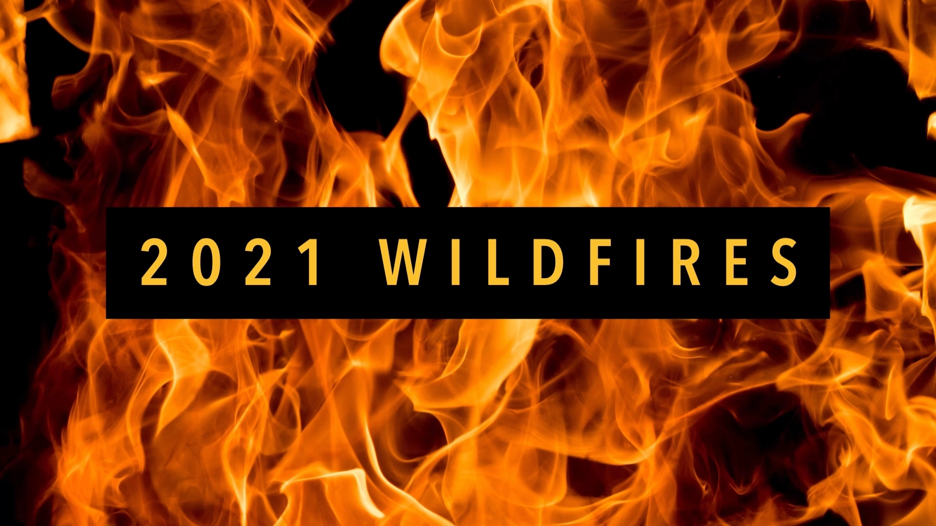Close-up photo of flames with text stating "2021 Wildfires".
